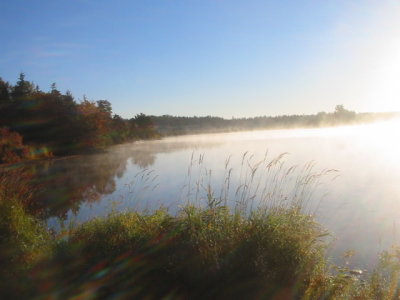  Misty morning- Bras D'Or Lake