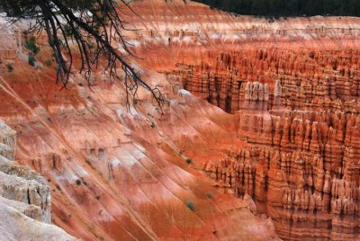 Splendid Colors of Bryce