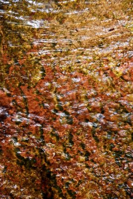 Colorful Sparkling Streambed