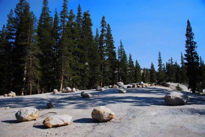 Glacial Erratics