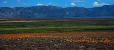 One More... Valley Floor