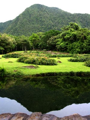 Green!  Green!  Panama is Green!