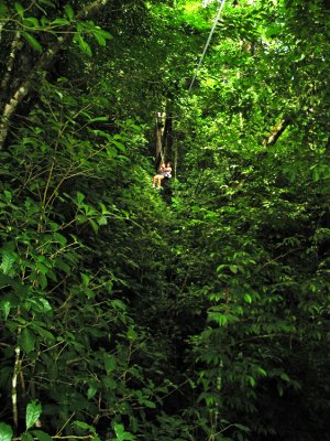 Zip Line!  Wheee!