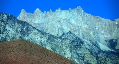 Nature's Patchwork Quilt