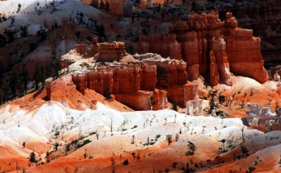 Ya Gotta Love the Contrasting Colors of Bryce!