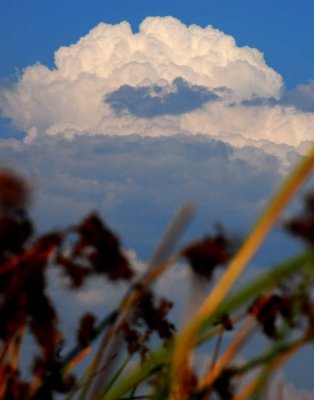 It's Thunderhead Time