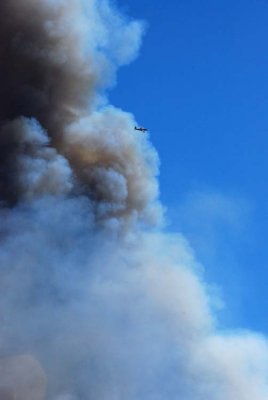 Scout Planes Monitor the Fire and Establish Drop Zones