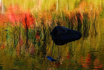 The 3 Rs: Rocks, Reeds and Reflections