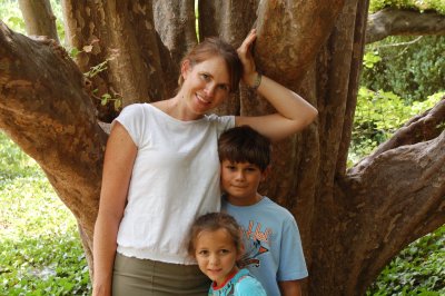 The Tree