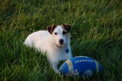 pete with football