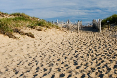 racepointbeach1_crop copy.jpg