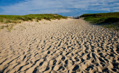 racepointbeach2 copy.jpg