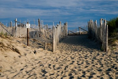 racepointbeach3 copy.jpg