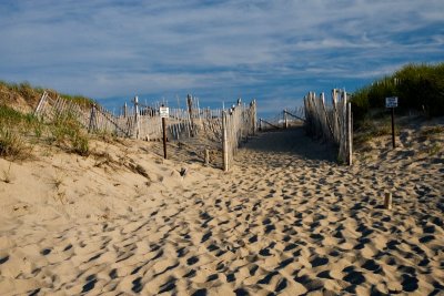 racepointbeach4 copy.jpg