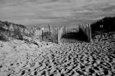 racepointbeach4_bw copy.jpg