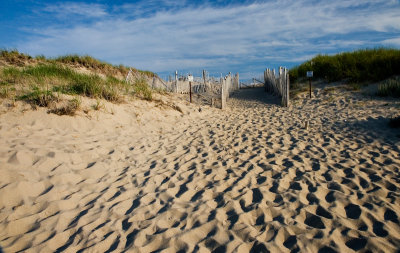 racepointbeach5 copy.jpg