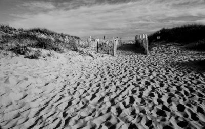 racepointbeach5_bw copy.jpg