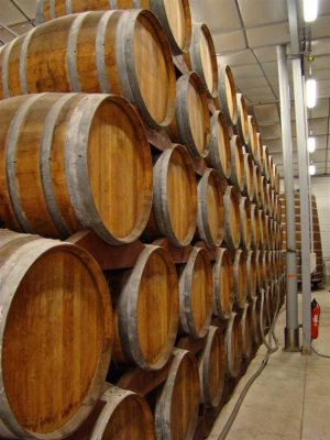 Calvados by the barrel in a prime apple-growing region