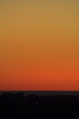 PICT0803-01.jpg