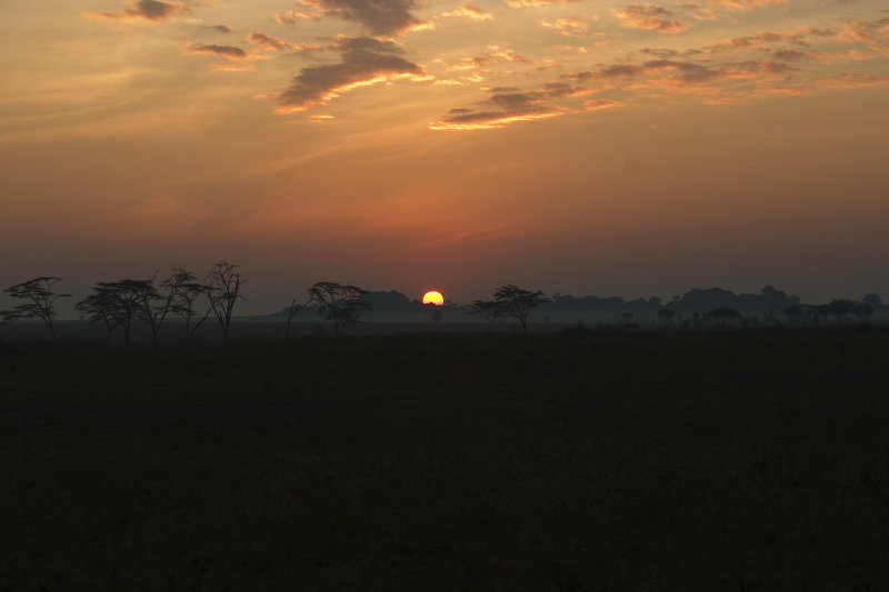 Sunrise on the Serengeti