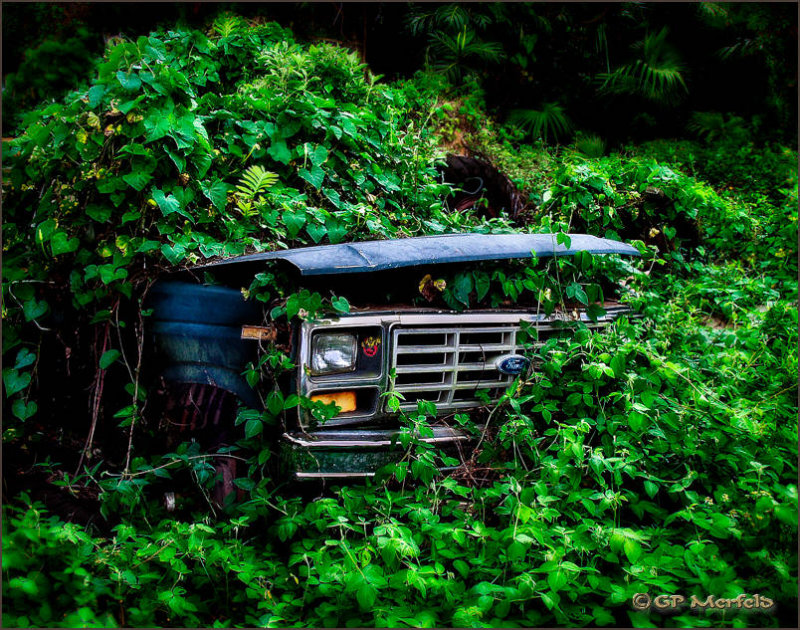 Jungle Ford Truck