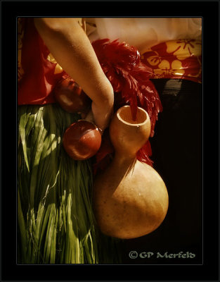 Hula Implements