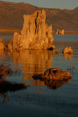 My Mono Lake