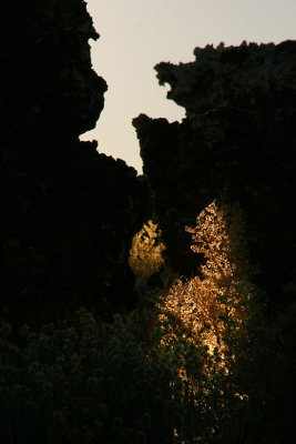 Hiding