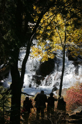 The world's a stage for photographers