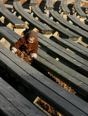 Fun with leaves