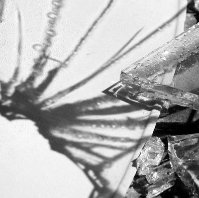 Shattered windshield