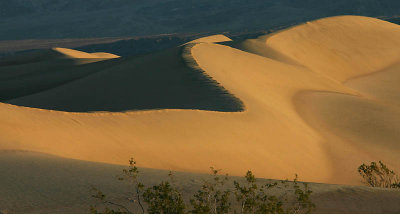 The Sand Dunes