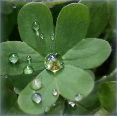 Divine droplet