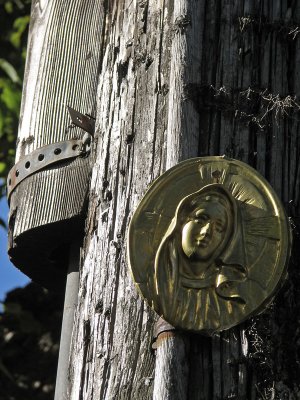 Our lady of the telephone pole