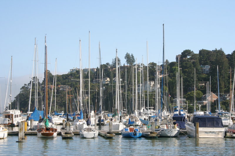 A View of Tiberon CA ADLER PHOTOGRAPHY & VIDEO PRODUCTIONS