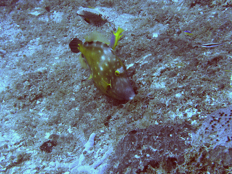 P1010415.jpg