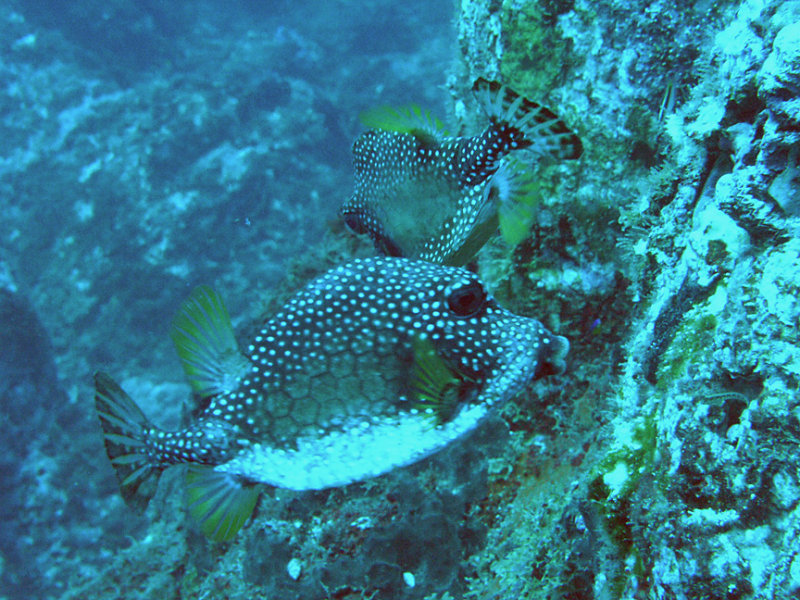 P1010414.jpg