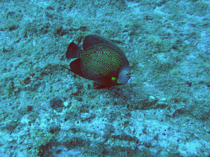 P1010396.jpg