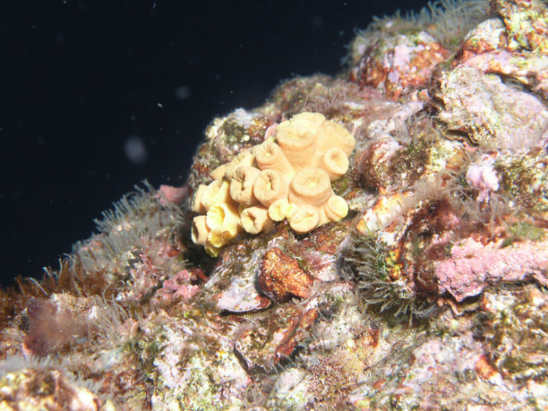 P1010364.jpg