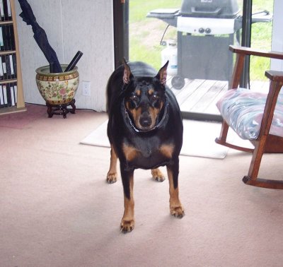 070307d.jpg