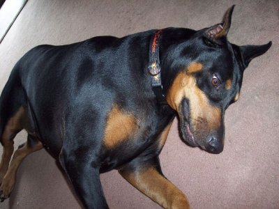 070307f.jpg