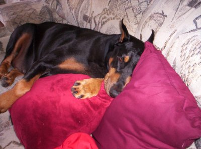lexy 003.jpg
