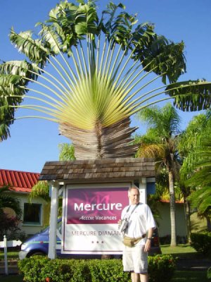 Mercure 1 Jan 2006