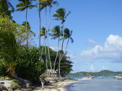 East Coast Martinique