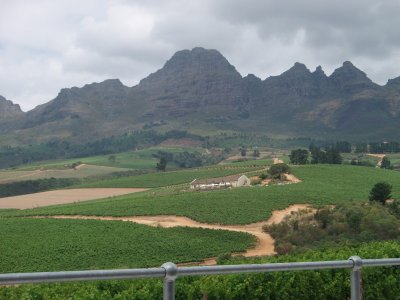 Gaurdian Peak  Stellenbosch South Africa