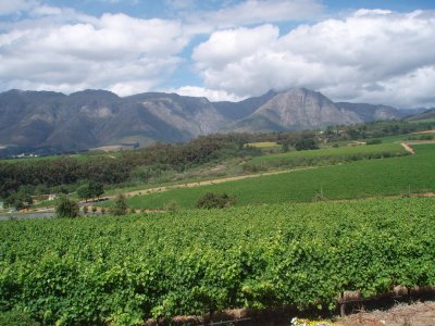 Gaurdian Peak  Stellenbosch South Africa