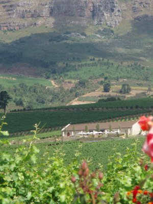 Gaurdian Peak  Stellenbosch South Africa