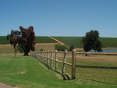 Uitkyk Wine Estate Stellenbosch Cape Town