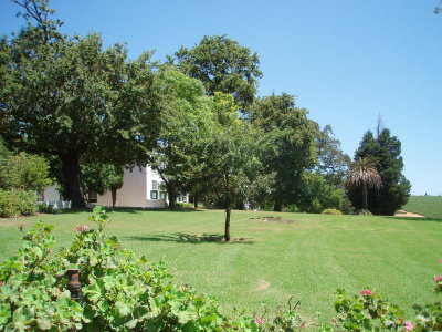 Uitkyk Wine Estate Stellenbosch Cape Town