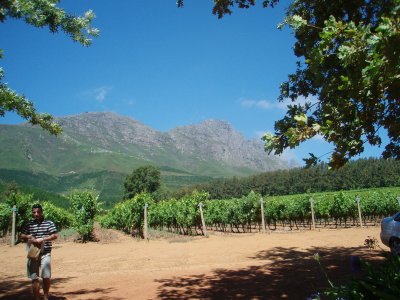 Delheim Wine Estate Stellenbosch Cape Town